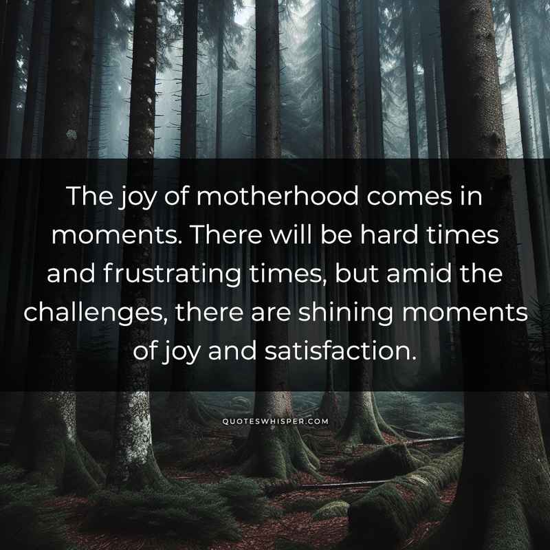 The joy of motherhood comes in moments. There will be hard times and frustrating times, but amid the challenges, there are shining moments of joy and satisfaction.