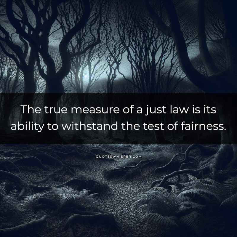 The true measure of a just law is its ability to withstand the test of fairness.