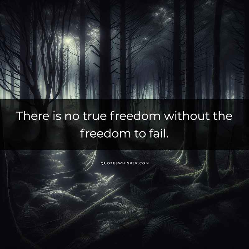 There is no true freedom without the freedom to fail.