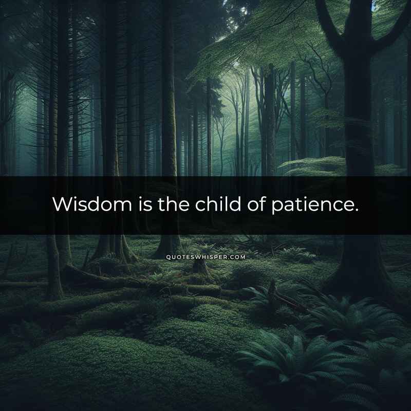 Wisdom is the child of patience.