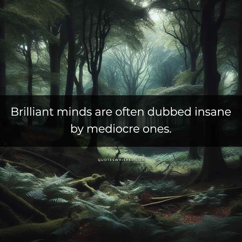Brilliant minds are often dubbed insane by mediocre ones.