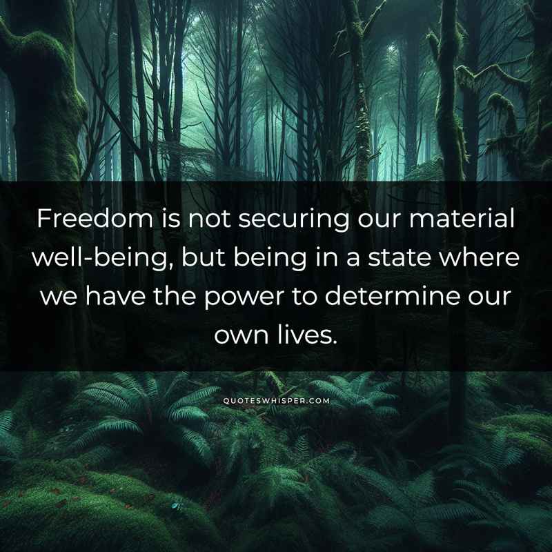 Freedom is not securing our material well-being, but being in a state where we have the power to determine our own lives.