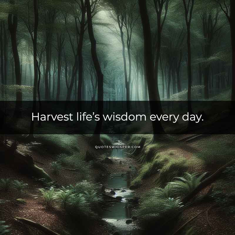 Harvest life’s wisdom every day.