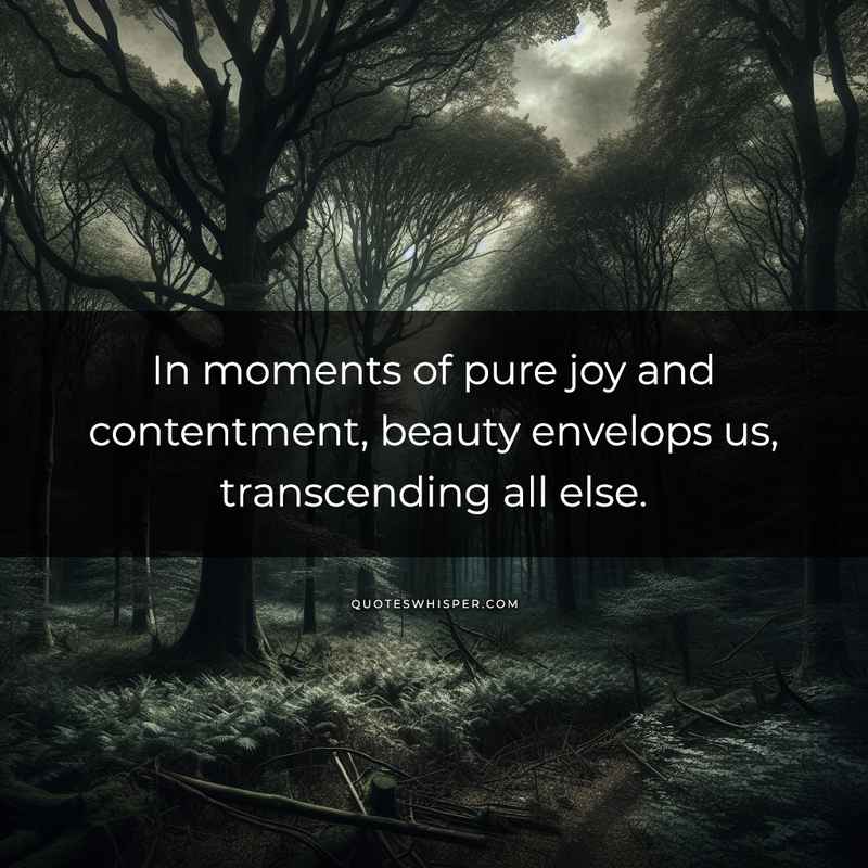 In moments of pure joy and contentment, beauty envelops us, transcending all else.