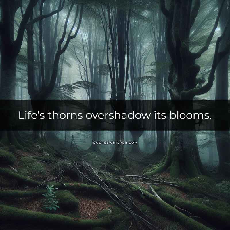 Life’s thorns overshadow its blooms.