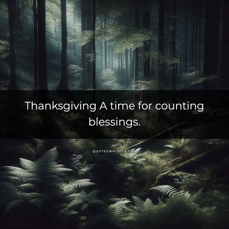 Thanksgiving A time for counting blessings.