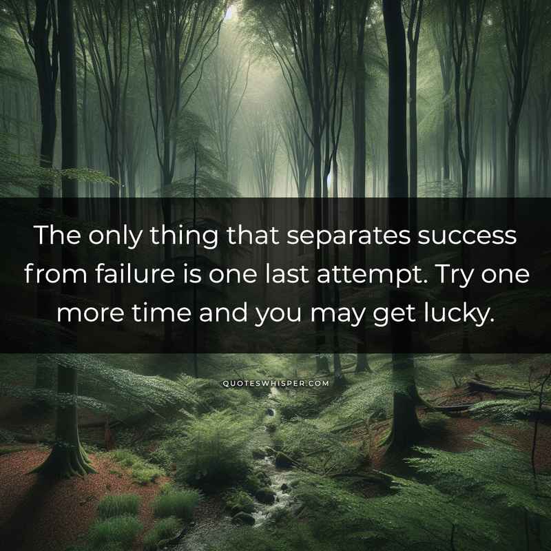 The only thing that separates success from failure is one last attempt. Try one more time and you may get lucky.