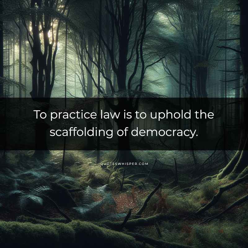 To practice law is to uphold the scaffolding of democracy.