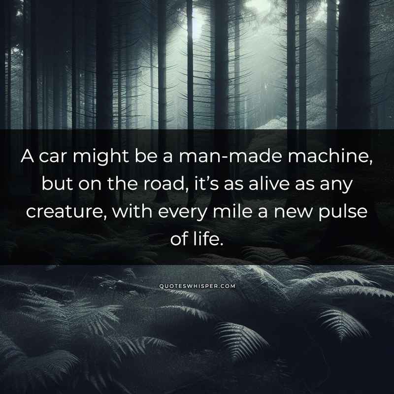 A car might be a man-made machine, but on the road, it’s as alive as any creature, with every mile a new pulse of life.
