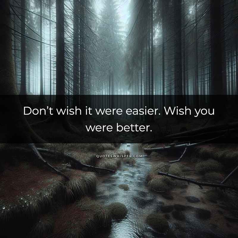 Don’t wish it were easier. Wish you were better.