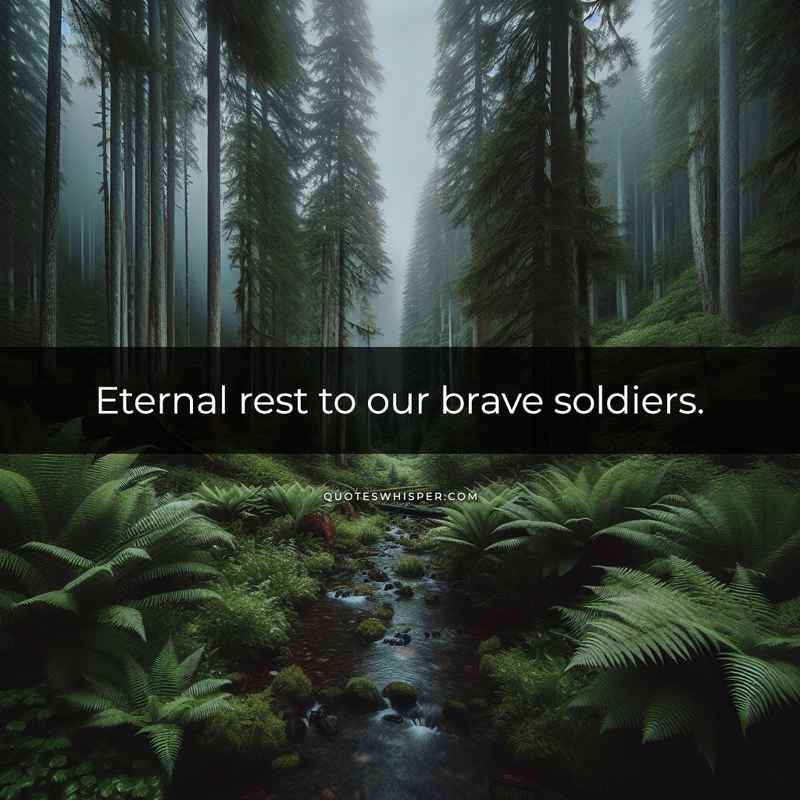 Eternal rest to our brave soldiers.