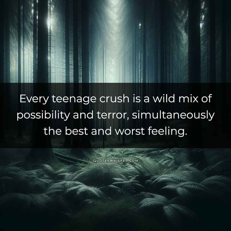 Every teenage crush is a wild mix of possibility and terror, simultaneously the best and worst feeling.
