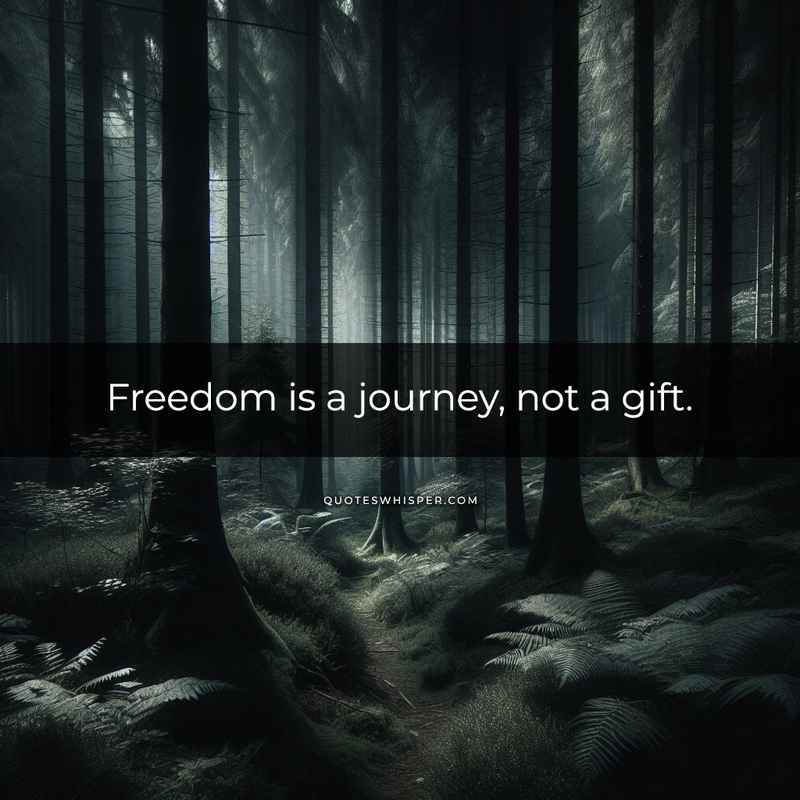 Freedom is a journey, not a gift.