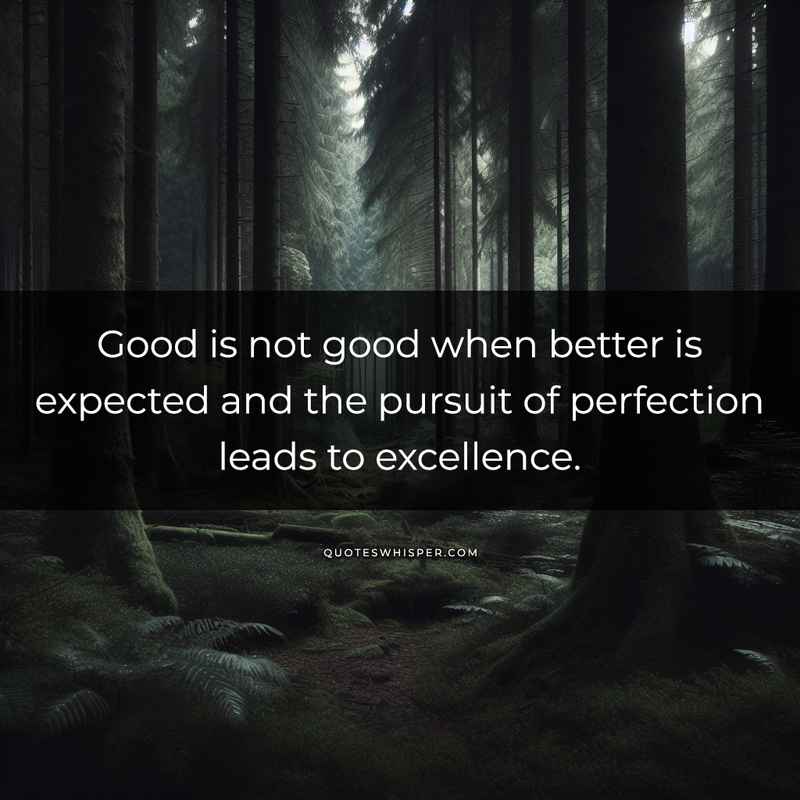 Good is not good when better is expected and the pursuit of perfection leads to excellence.