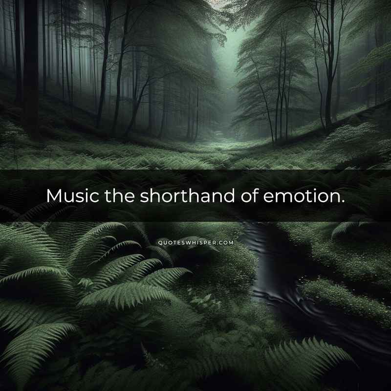 Music the shorthand of emotion.