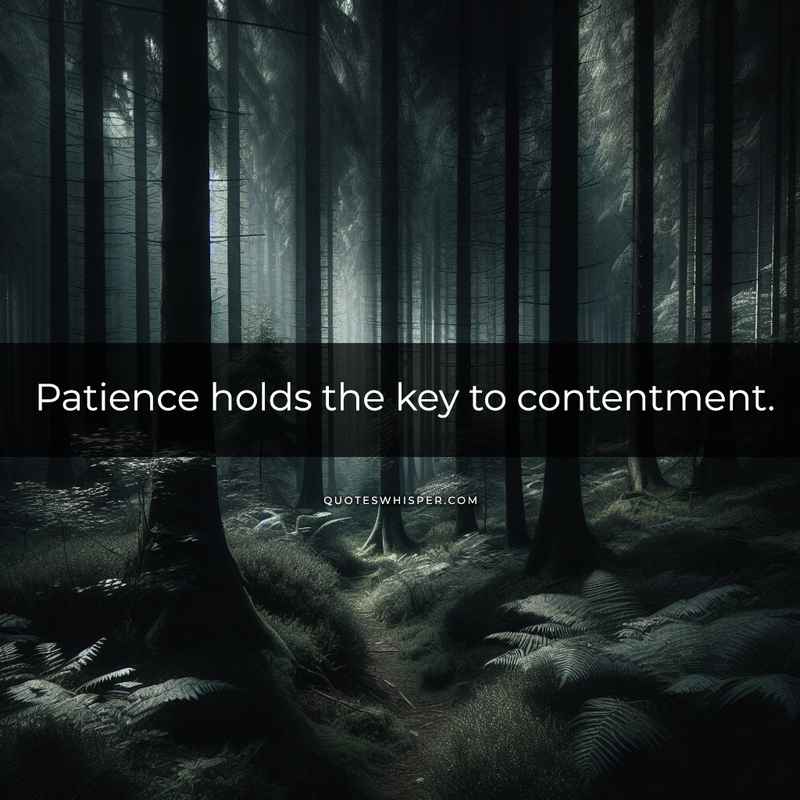 Patience holds the key to contentment.