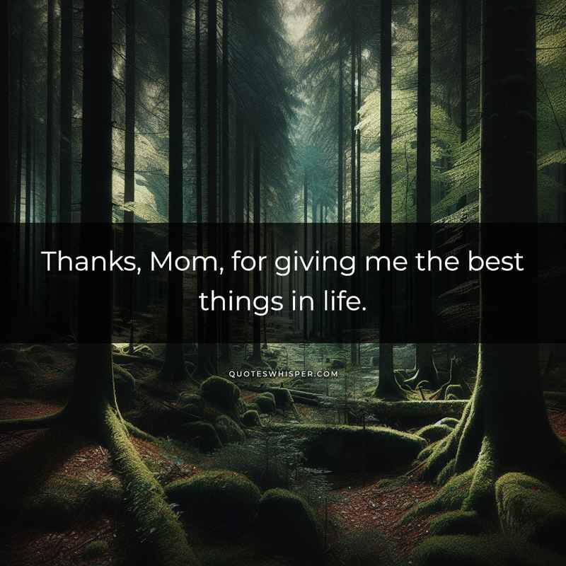 Thanks, Mom, for giving me the best things in life.