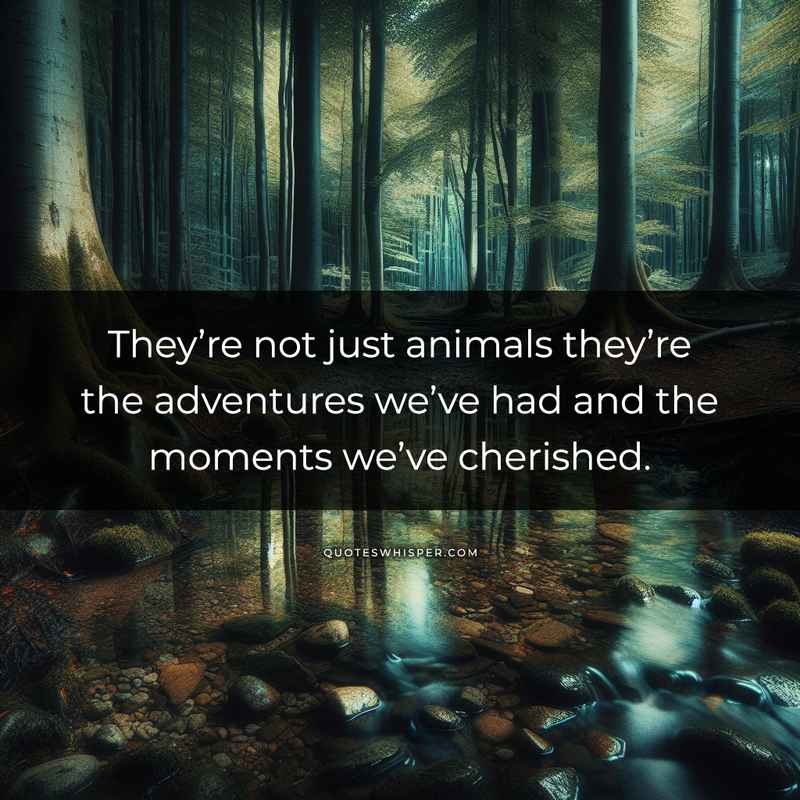 They’re not just animals they’re the adventures we’ve had and the moments we’ve cherished.