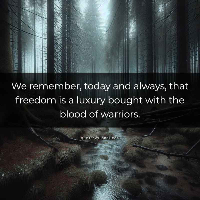 We remember, today and always, that freedom is a luxury bought with the blood of warriors.
