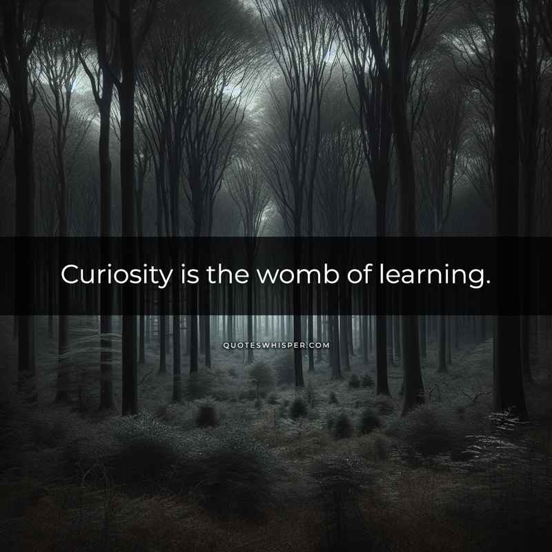 Curiosity is the womb of learning.