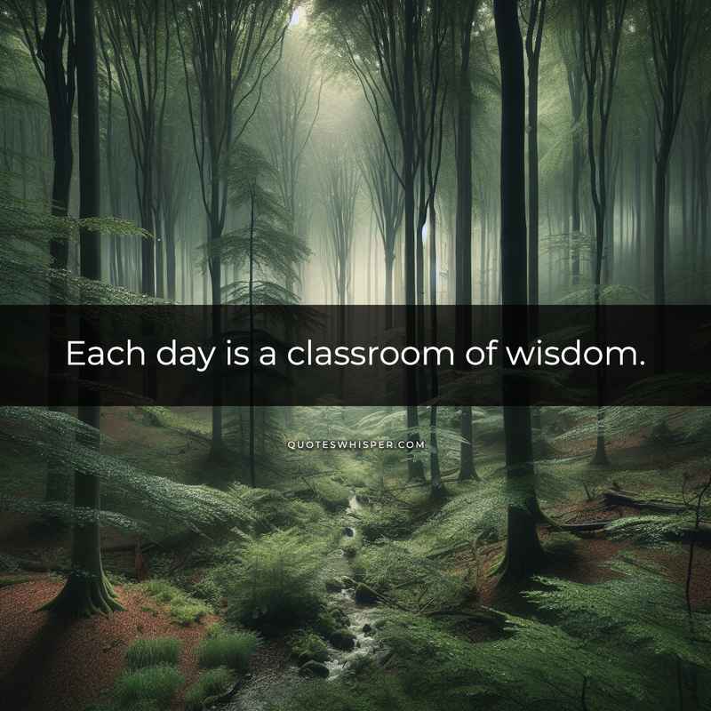 Each day is a classroom of wisdom.