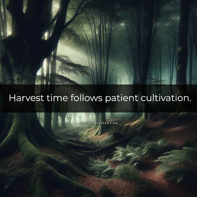 Harvest time follows patient cultivation.