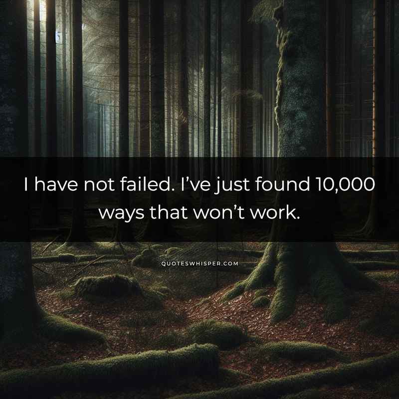 I have not failed. I’ve just found 10,000 ways that won’t work.