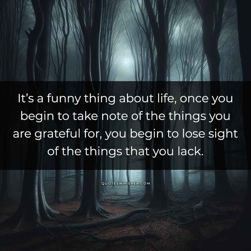 It’s a funny thing about life, once you begin to take note of the things you are grateful for, you begin to lose sight of the things that you lack.