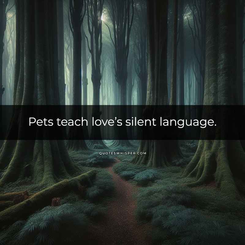 Pets teach love’s silent language.