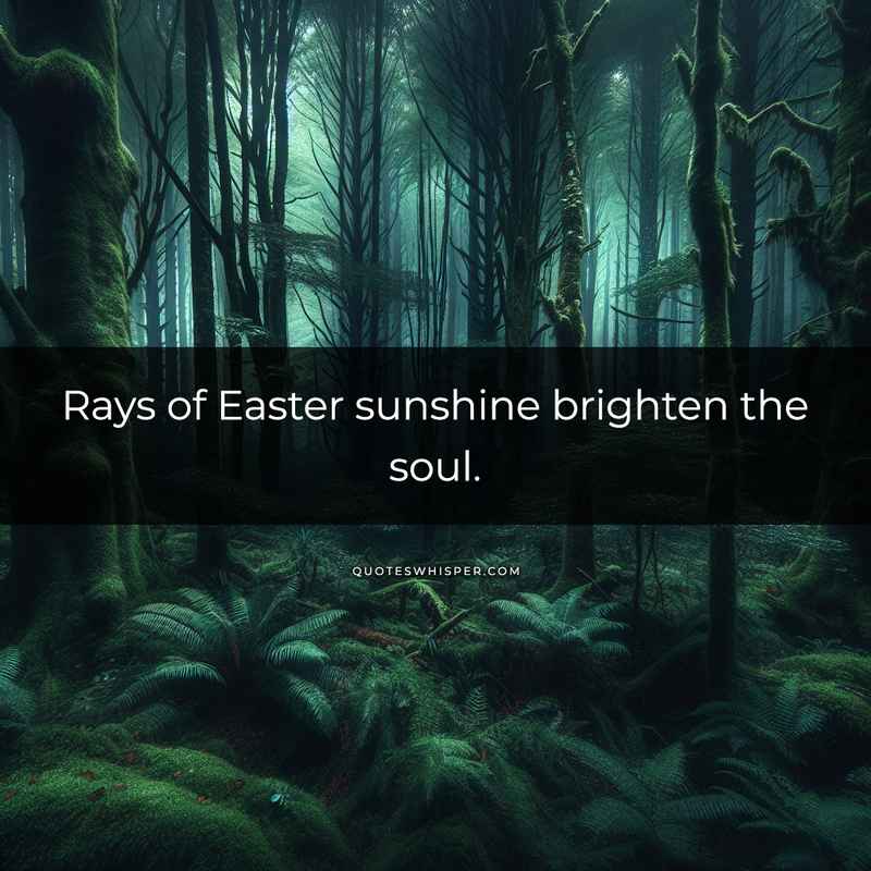 Rays of Easter sunshine brighten the soul.