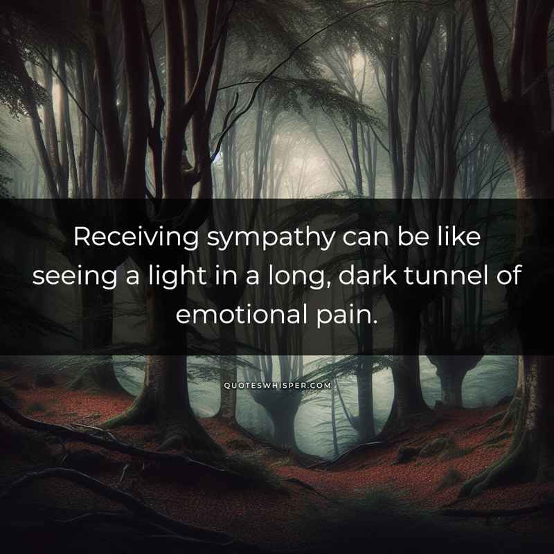 Receiving sympathy can be like seeing a light in a long, dark tunnel of emotional pain.
