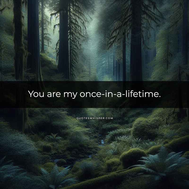 You are my once-in-a-lifetime.