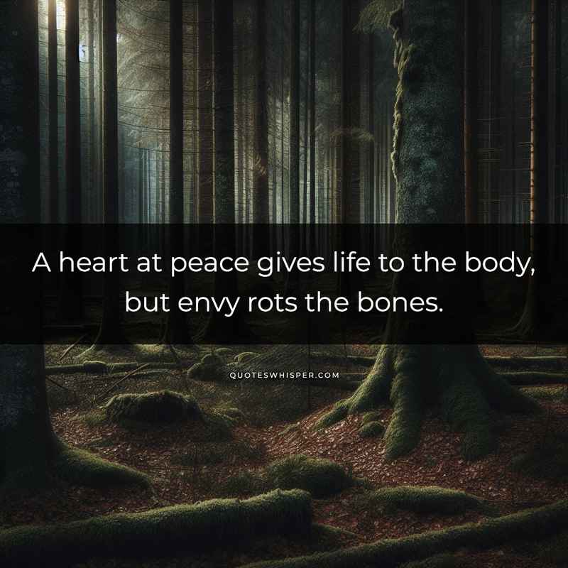 A heart at peace gives life to the body, but envy rots the bones.