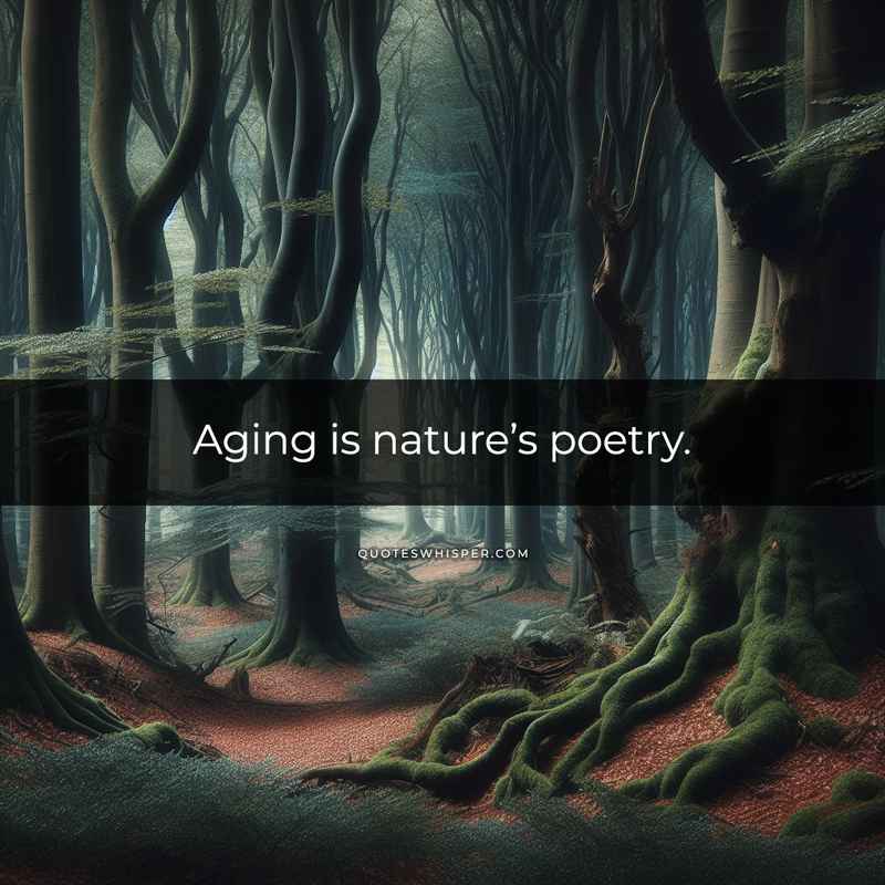 Aging is nature’s poetry.
