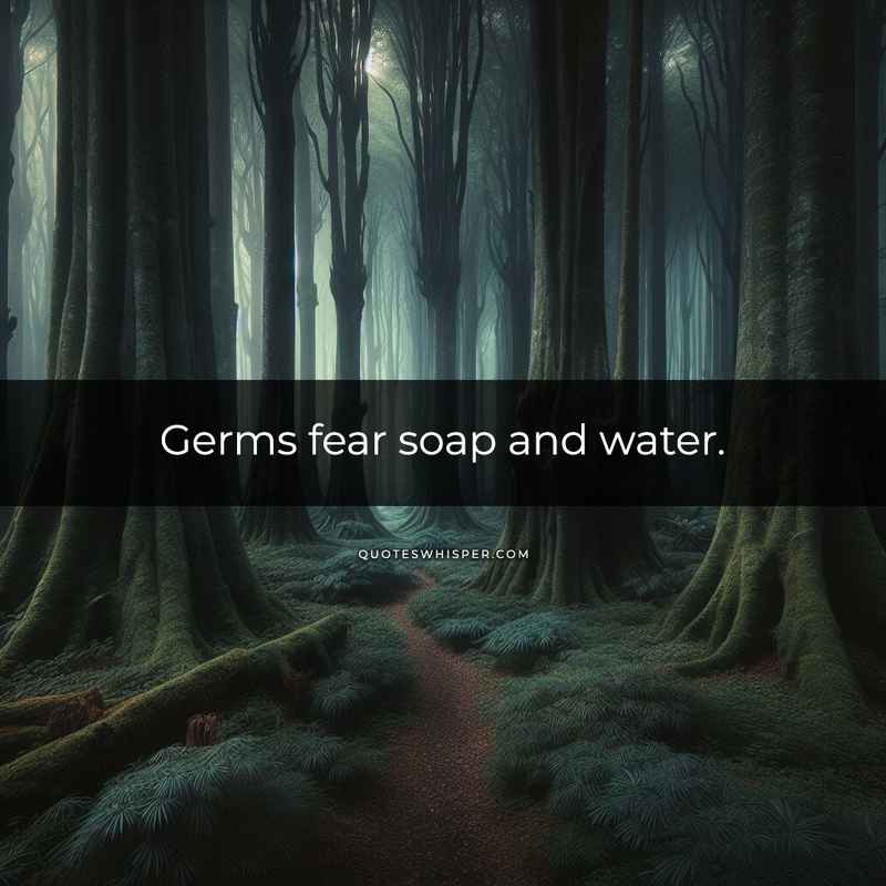 Germs fear soap and water.