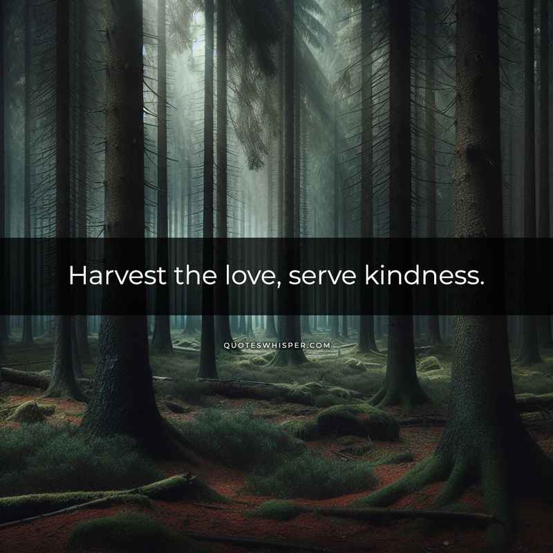 Harvest the love, serve kindness.