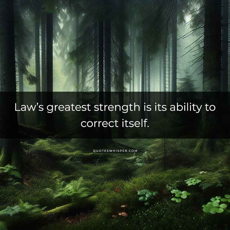 Law’s greatest strength is its ability to correct itself.