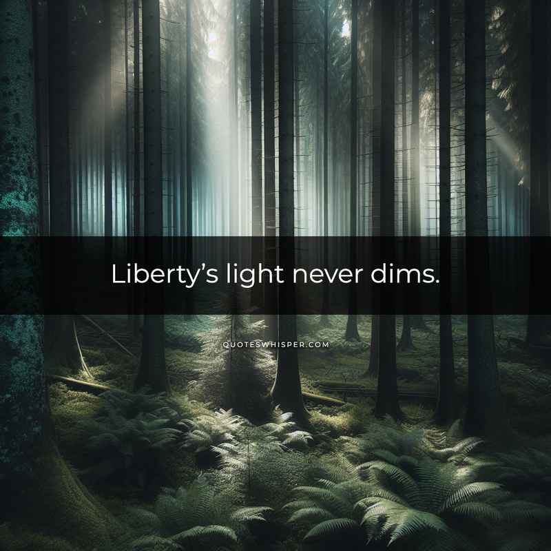 Liberty’s light never dims.