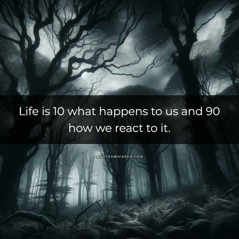 Life is 10 what happens to us and 90 how we react to it.