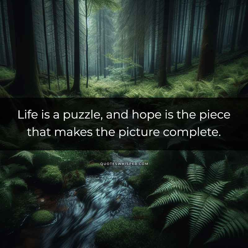 Life is a puzzle, and hope is the piece that makes the picture complete.