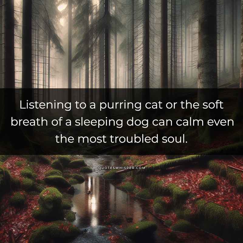 Listening to a purring cat or the soft breath of a sleeping dog can calm even the most troubled soul.
