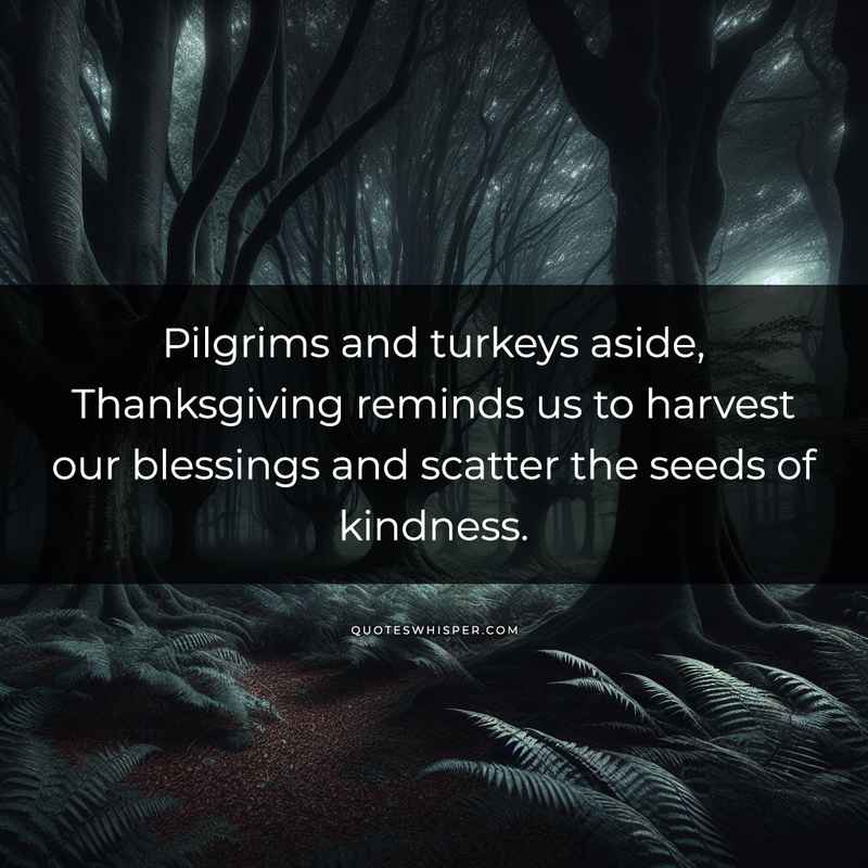 Pilgrims and turkeys aside, Thanksgiving reminds us to harvest our blessings and scatter the seeds of kindness.