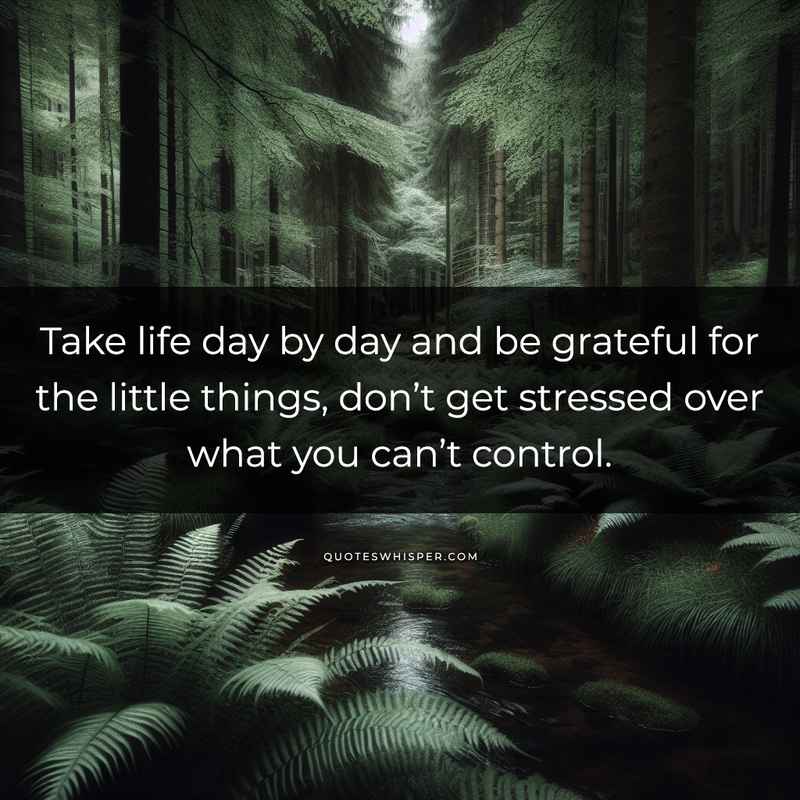 Take life day by day and be grateful for the little things, don’t get stressed over what you can’t control.