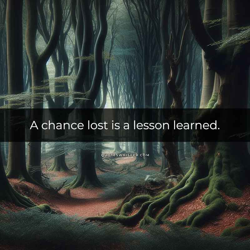A chance lost is a lesson learned.