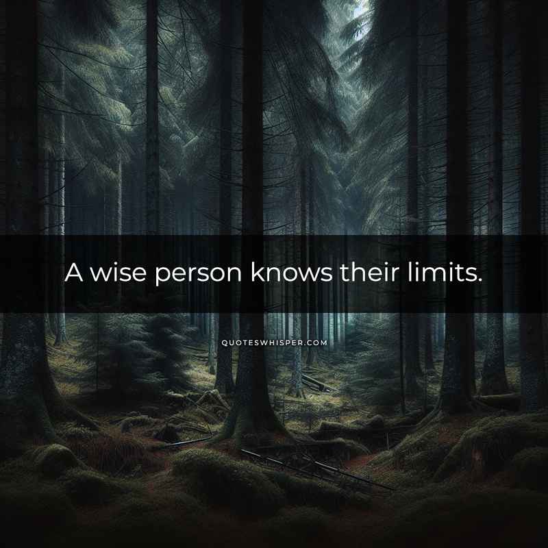 A wise person knows their limits.