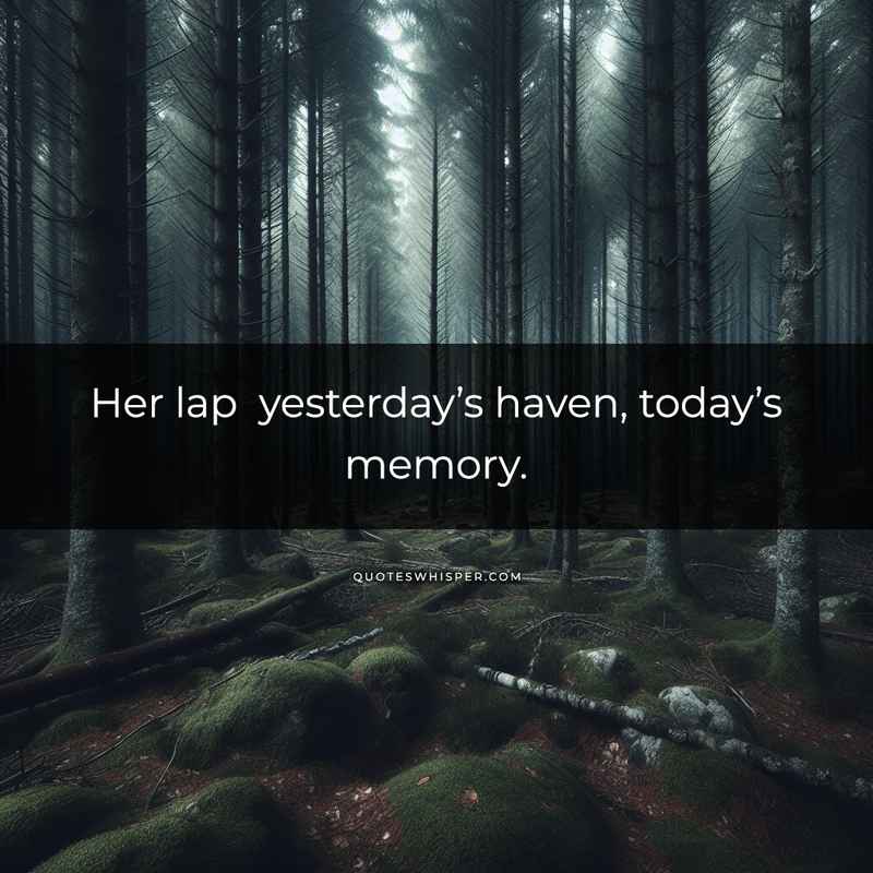 Her lap yesterday’s haven, today’s memory.