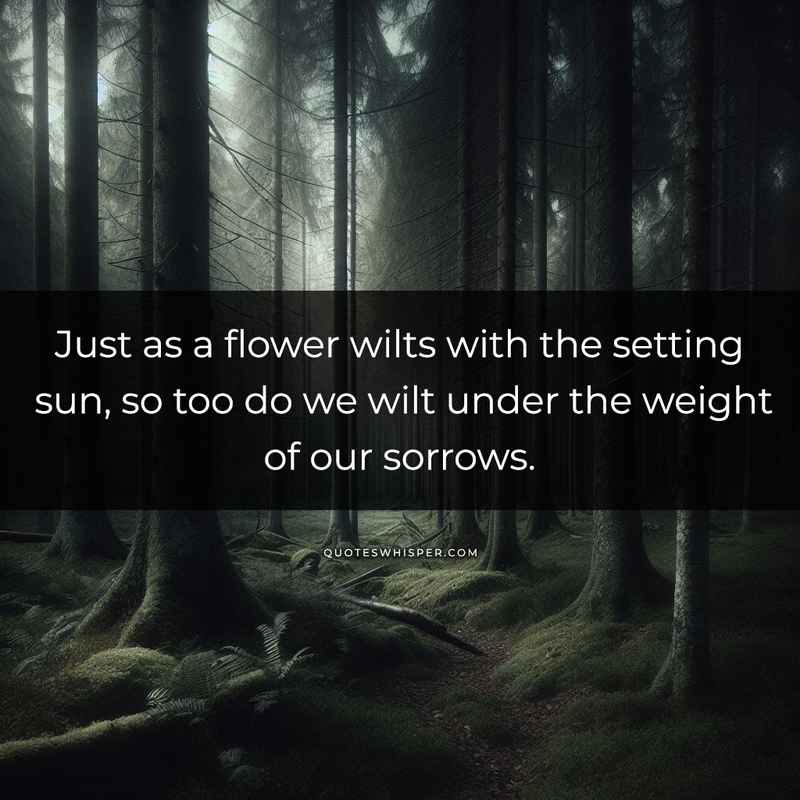 Just as a flower wilts with the setting sun, so too do we wilt under the weight of our sorrows.
