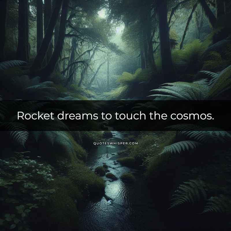 Rocket dreams to touch the cosmos.