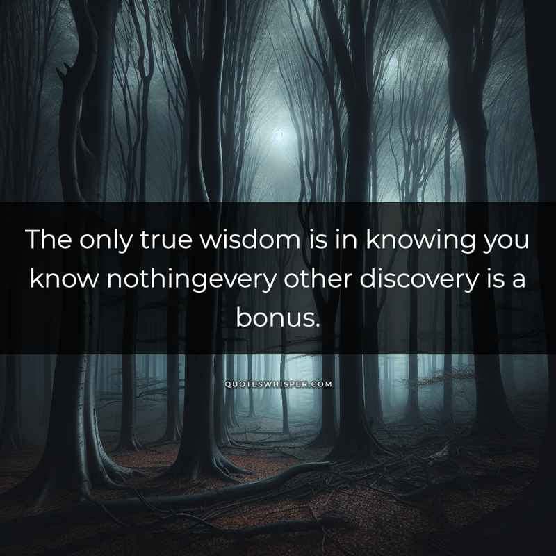 The only true wisdom is in knowing you know nothingevery other discovery is a bonus.