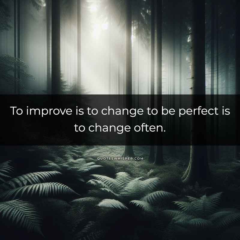 To improve is to change to be perfect is to change often.